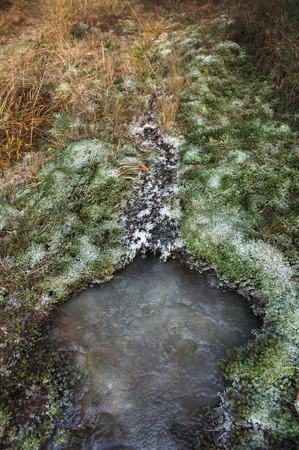 Frozen forest stream surrounded by moss covered with frost.の写真素材