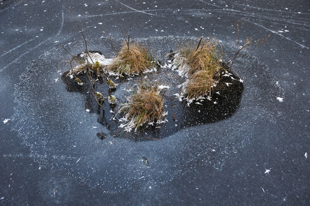 Thin transparent ice on the surface of the reservoir with dried grass and air bubbles under it.の写真素材