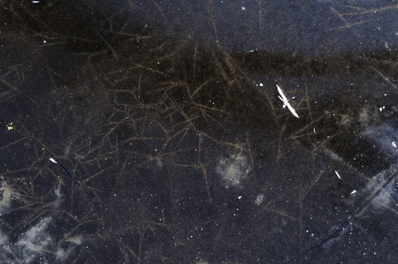 Thin transparent ice on the surface of the reservoir with dried grass and air bubbles under it.の写真素材