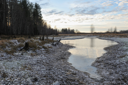 The breath of winter in the woods, near the shore of a forest lakeの写真素材