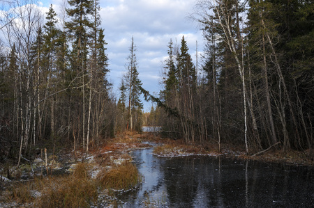 The breath of winter in the woods, near the shore of a forest lakeの写真素材