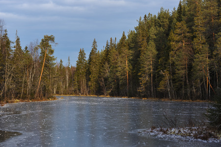 The breath of winter in the woods, near the shore of a forest lakeの写真素材