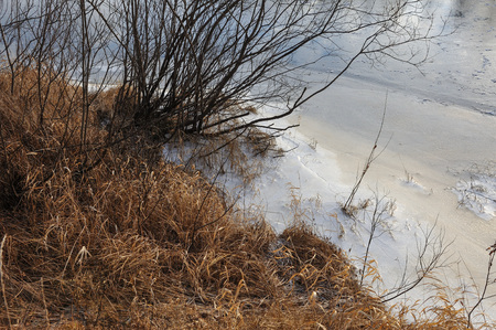 The breath of winter in the woods, near the shore of a forest lakeの写真素材