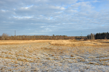 Meadow grass covered with frost due to the sharp cooling and high humidity in the early frosty morning.の写真素材