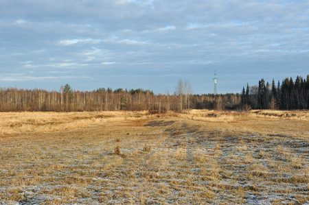 Meadow grass covered with frost due to the sharp cooling and high humidity in the early frosty morning.の写真素材