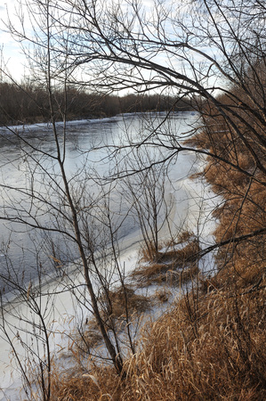 The breath of winter in the woods, near the shore of a forest lakeの写真素材