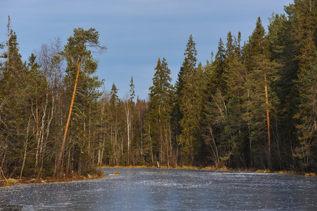 The breath of winter in the woods, near the shore of a forest lakeの写真素材