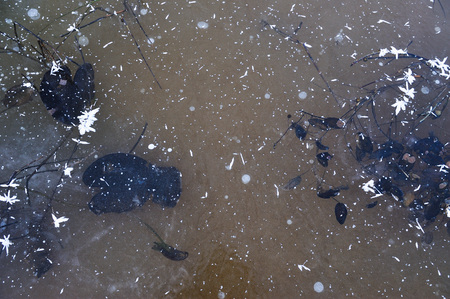 Thin transparent ice on the surface of the reservoir with dried grass and air bubbles under it.の写真素材