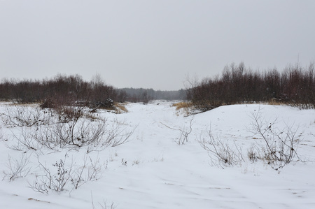 Desert landscape on the banks of the Vychegda river in late November.の写真素材