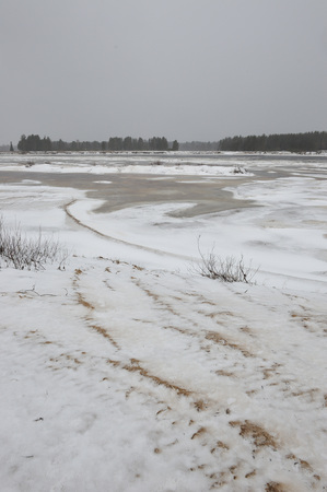 Desert landscape on the banks of the Vychegda river in late November.の写真素材