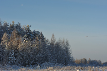 The plane comes to land over the forest belt in one of the frosty days.の写真素材