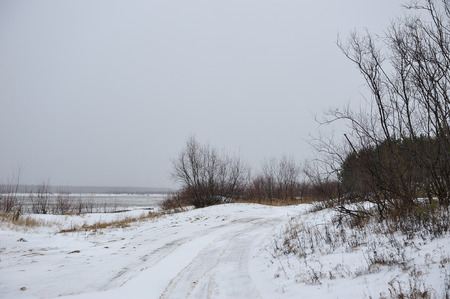 Desert landscape on the banks of the Vychegda river in late November.の写真素材