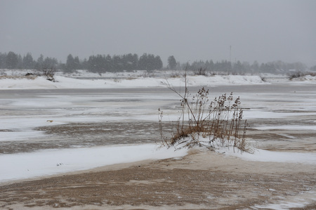 Desert landscape on the banks of the Vychegda river in late November.の写真素材
