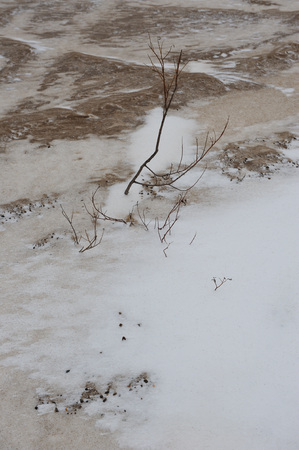Desert landscape on the banks of the Vychegda river in late November.の写真素材
