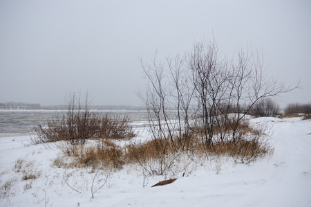 Desert landscape on the banks of the Vychegda river in late November.の写真素材