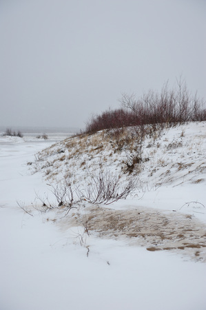 Desert landscape on the banks of the Vychegda river in late November.の写真素材