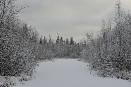 Landscape. The lake is surrounded by swampy soil after the snowfall.の写真素材