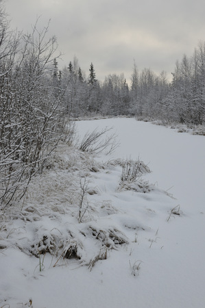 Landscape. The lake is surrounded by swampy soil after the snowfall.の写真素材