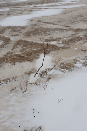 Desert landscape on the banks of the Vychegda river in late November.の写真素材