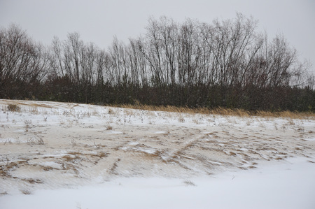 Desert landscape on the banks of the Vychegda river in late November.の写真素材