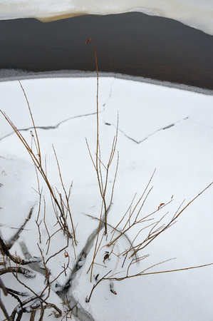 Freezings on the river in late November.の写真素材