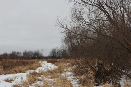 Late autumn in the fields near the river.の写真素材