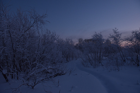 Frosty sunset on the river bank.の写真素材