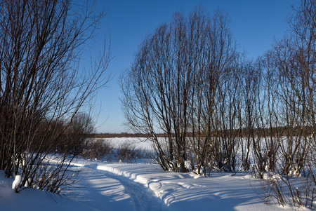 Path leading through the snow on the ice of the river frosty sunny day.の写真素材