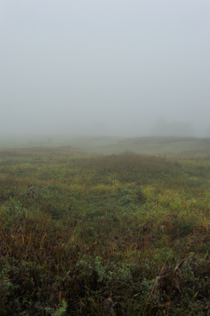 Early autumn morning. Dense fog envelops the idyllic landscape. Field grasses have faded from the first frosts.の写真素材