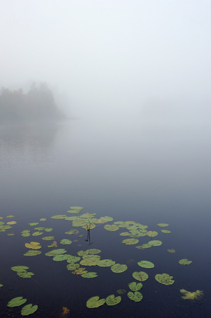 Early autumn morning. Dense fog envelops the surface of the river.の写真素材