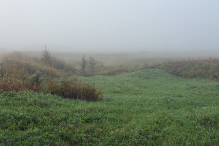 Early autumn morning. Dense fog envelops the idyllic landscape. Field grasses have faded from the first frosts.の写真素材