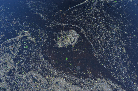 Spring flood. Foam and dust on the water surface. Abstract pattern.の写真素材