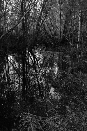 Spring flood. Foam and dust on the water surface. Abstract pattern.の写真素材