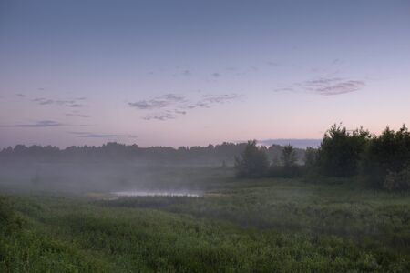 Dawn in a field by a secluded lake with dew on the grassの写真素材