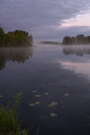 Dawn on the shore of the lake with rising fog.の写真素材