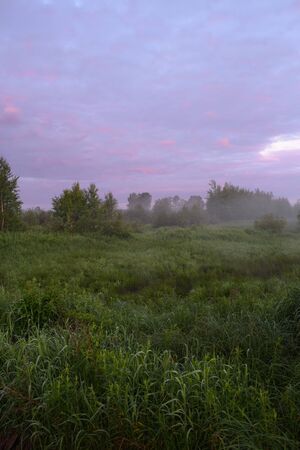 Dawn in a field by a secluded lake with dew on the grassの写真素材