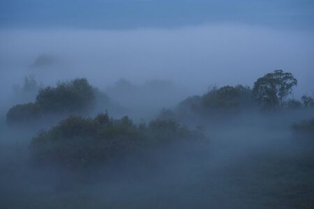 Midnight fog covers the fields and the river and the power lines.の写真素材