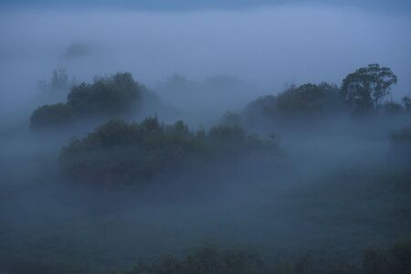 Midnight fog covers the fields and the river and the power lines.の写真素材