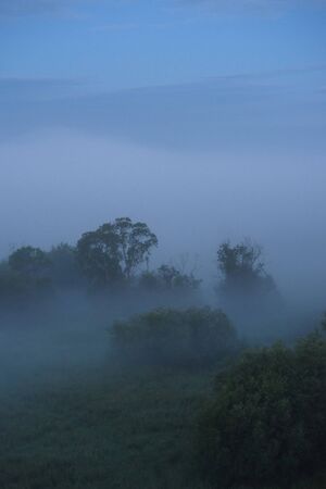 Midnight fog covers the fields and the river and the power lines.の写真素材