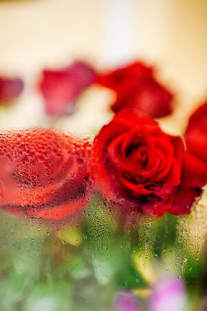 Beautiful scarlet roses behind a glass covered with droplets of moisture. Abstract. Blur.の写真素材