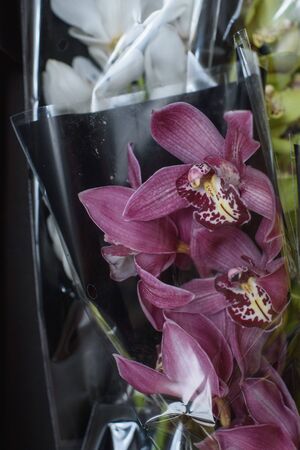 Orchids close-up in transparent plastic packaging.の写真素材
