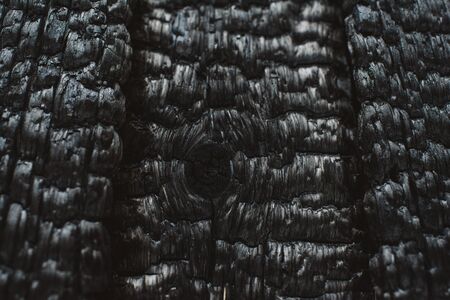 Charred wooden plank wall. Background close-up. Texture.の写真素材