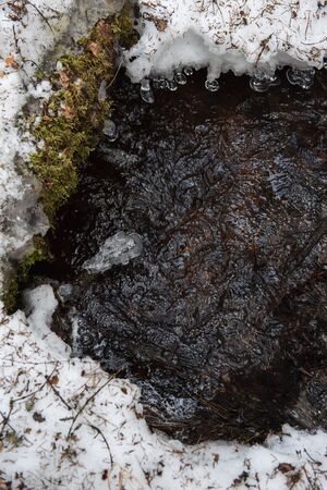 The rapid flow of a spring forest stream with frozen drops on fallen branches.の写真素材