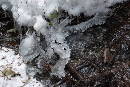 The rapid flow of a spring forest stream with frozen drops on fallen branches.の写真素材