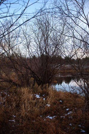 View of the lake in late autumn at sunset with dry tall grass and the first snow in the foreground.