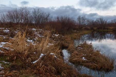 Field by the lake in late autumn with dry grass and the first snow. Scenic view.の写真素材