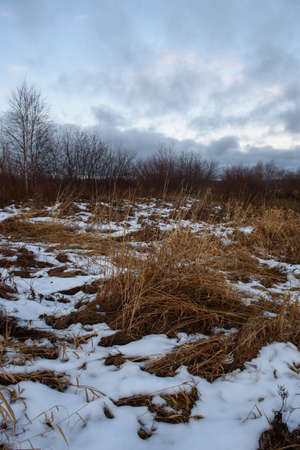 Field by the lake in late autumn with dry grass and the first snow. Scenic view.の写真素材