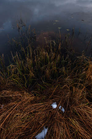View of the lake in late autumn at sunset with dry tall grass and the first snow in the foreground.の写真素材