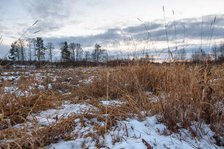 Field by the lake in late autumn with dry grass and the first snow. Scenic view.の写真素材