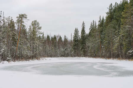 Landscape. Frozen forest lake in late autumn after the first snow.の写真素材